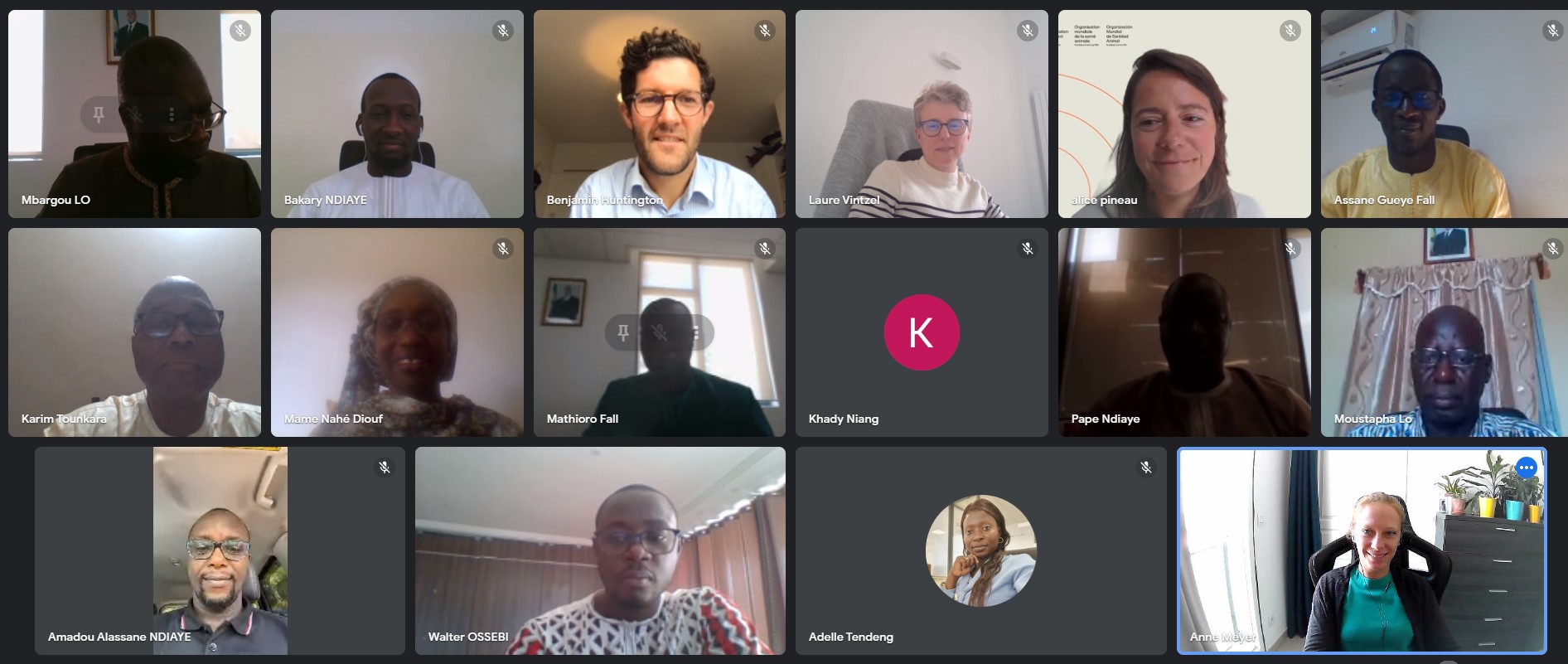 Senegal Case Study – Online Launch Event