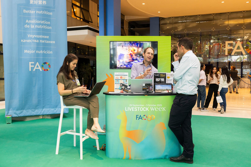 GBADs Participates in FAO Conference on Sustainable Livestock Transformation, 29 September–1 October 2025
